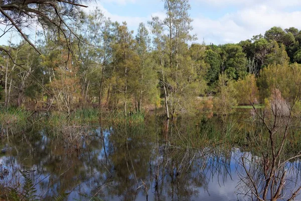 Vacker Utsikt Över Naturen — Stockfoto