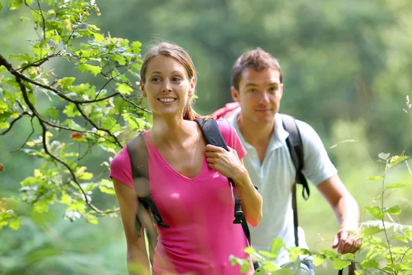 Casal Dia Trekking Floresta — Fotografia de Stock