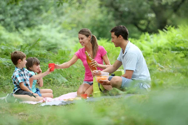 田舎の家族のピクニック時間 — ストック写真