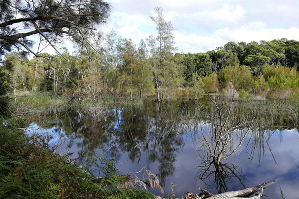 Schöne Aussicht Auf Die Natur — Stockfoto