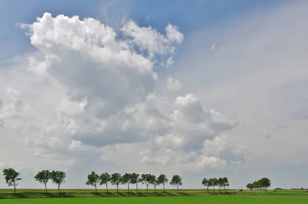 Dike Landskap Ouddorp Goeree Overflakkee Södra Nederländerna — Stockfoto