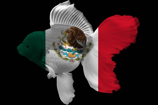 Flag Mexico Goldfish Black Background — Stock Photo, Image