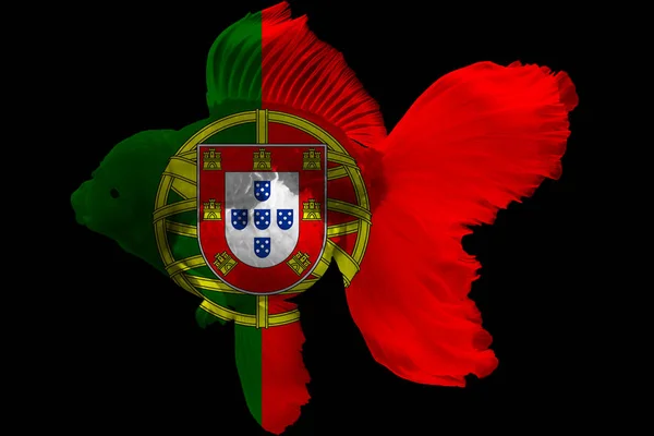 Bandeira Portugal Sobre Peixinho Dourado Com Fundo Preto — Fotografia de Stock