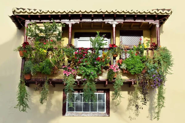Alter Historischer Holzbalkon Mit Prachtvollem Blumenschmuck Santa Cruz Palma — Stockfoto