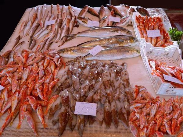 Fein Prezentované Ryby Trhu — Stock fotografie