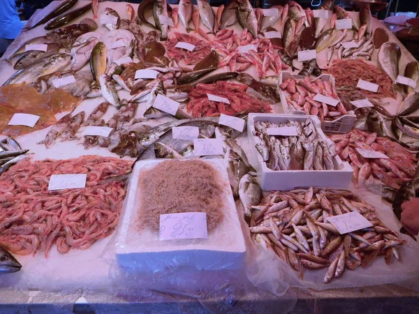 Ish Pesce Tutto Pesce Fresco Offerta Mercato Del Pesce — Foto Stock