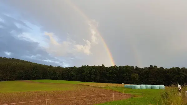 Rainbow Field — Stock Photo, Image