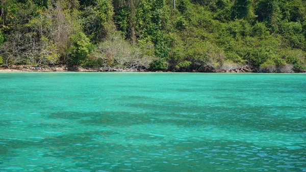 驚くほど自然な緑の海岸のランタ島にあるタイで — ストック写真