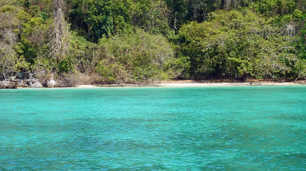 Erstaunliche Natürliche Grüne Küste Von Lanta Thailand — Stockfoto