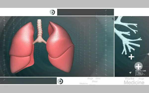 Digital illustration of human lungs in colour background