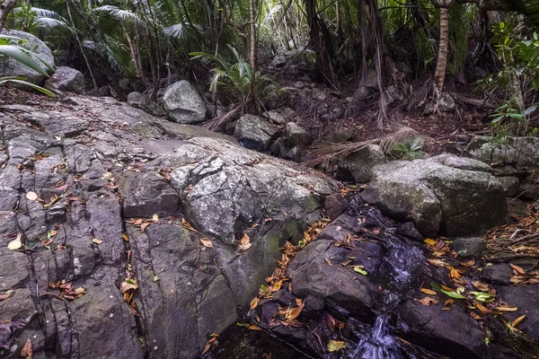 Seychelles Silueta Hielo Anse Patates — Foto de Stock