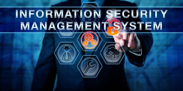 Male Enterprise Data Manager Touching Information Security Management System Virtual — Stock Photo, Image