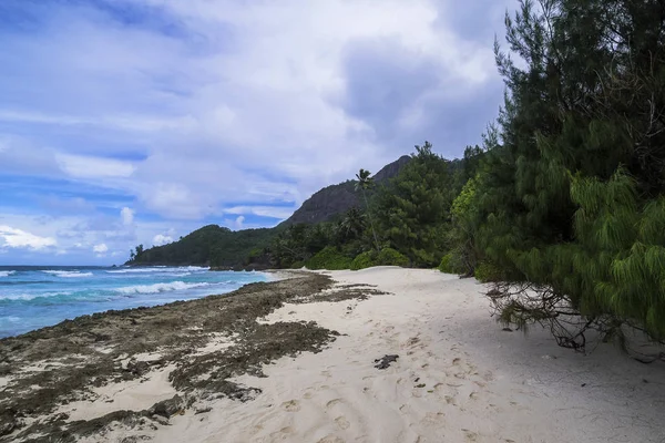 Seicheles Digue Marron Anse — Fotografia de Stock