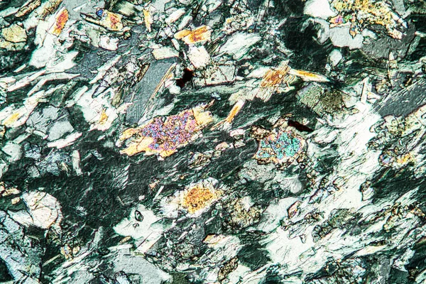 Textura Las Células Microscópicas Fondo Abstracto — Foto de Stock