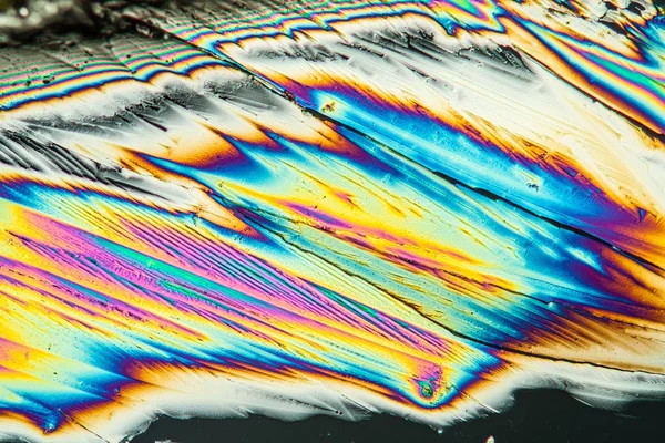 Kristalle Polarisiertem Licht Mikroskopische Zellstruktur — Stockfoto