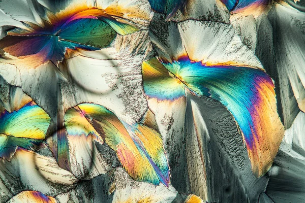 Кристали Поляризованому Світлі Мікроскопічна Текстура Клітин — стокове фото