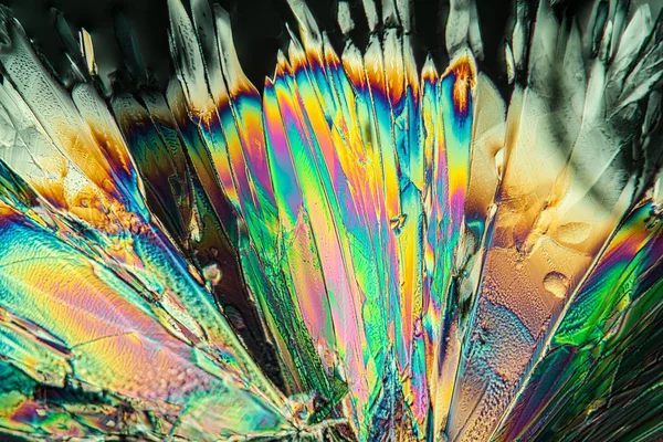 Kristályok Polarizált Fényben Mikroszkopikus Sejtszerkezet — Stock Fotó