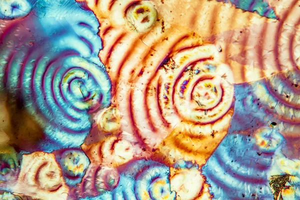 Kristal Dalam Cahaya Terpolarisasi Tekstur Sel Mikroskopis — Stok Foto