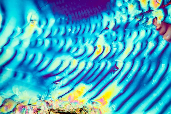 Кристаллы Поляризованном Свете Текстуре Микроскопических Клеток — стоковое фото