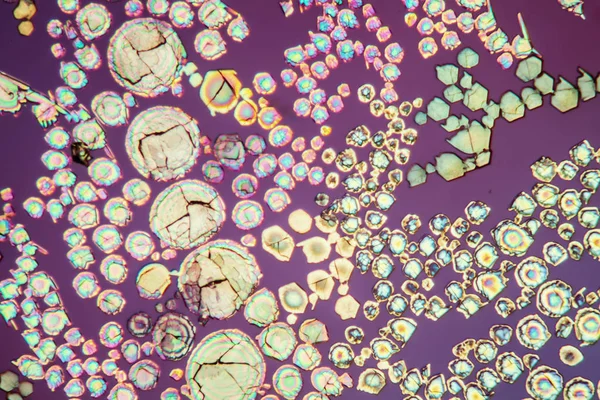 Cristales Con Luz Polarizada Textura Microscópica — Foto de Stock