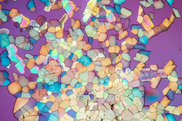 Crystals Polarized Light Microscopic Cells Texture — Stock Photo, Image