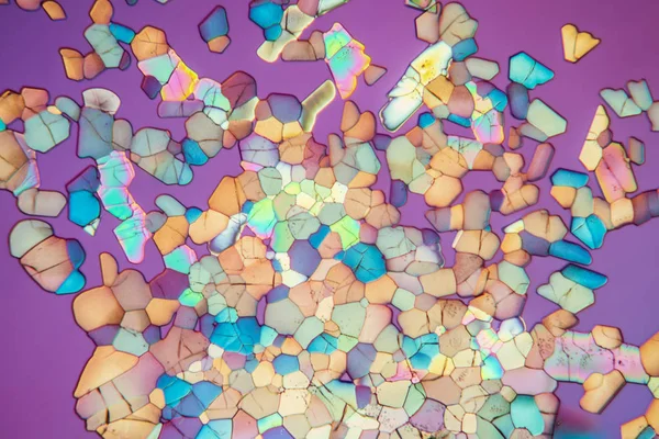 Crystals Polarized Light Microscopic Cells Texture — Stock Photo, Image