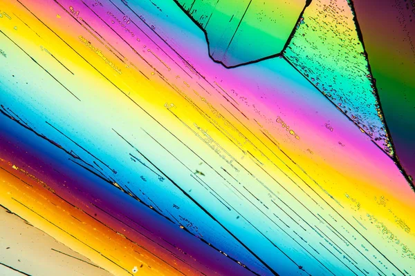 Kristalle Polarisiertem Licht Mikroskopische Zellstruktur — Stockfoto