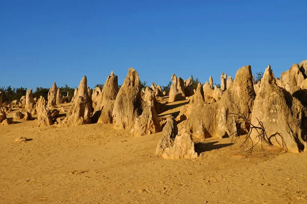 Los Pináculos Paisaje Escénico Increíble — Foto de Stock