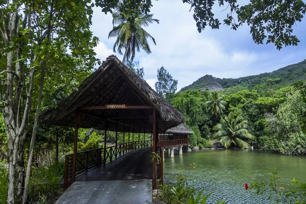 Seychellen Hilton Labriz Silhouet Ijs — Stockfoto