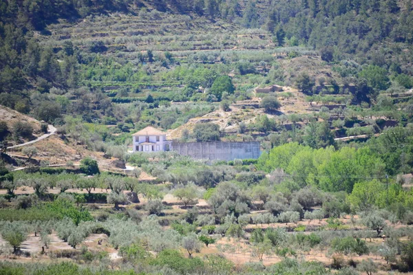 Fakadok Spanyolországban Costa Blanca — Stock Fotó