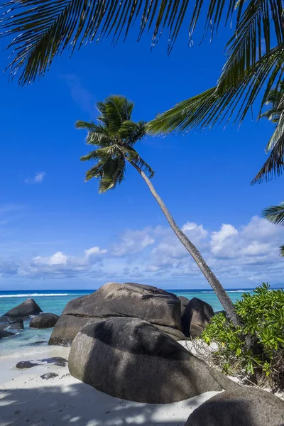 Seychelles Silueta Hielo Baie Cipailles — Foto de Stock