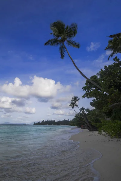 Seychelles シルエット Iceland Anse Passe — ストック写真