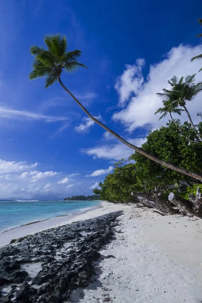 Seychelles Silhouette Iceland Anse Passe — 图库照片