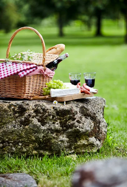 一场野餐在一个绿色的春天公园的岩石上举行 有一个柳条篮和一瓶红酒 还有一个奶酪盘 辛辣的香肠和新鲜的葡萄 低角度的视野 — 图库照片