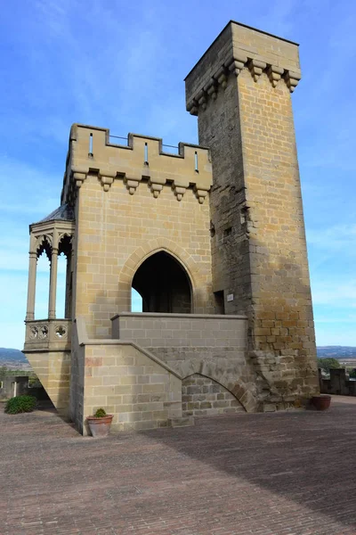 Aflicción Olite Provincia Navarra Fachadas Casa Castillo —  Fotos de Stock
