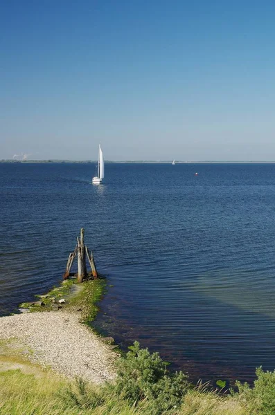 Плавучі Човни Гревелінському Морі Шувен Дуейвеланд Південна Голландія — стокове фото