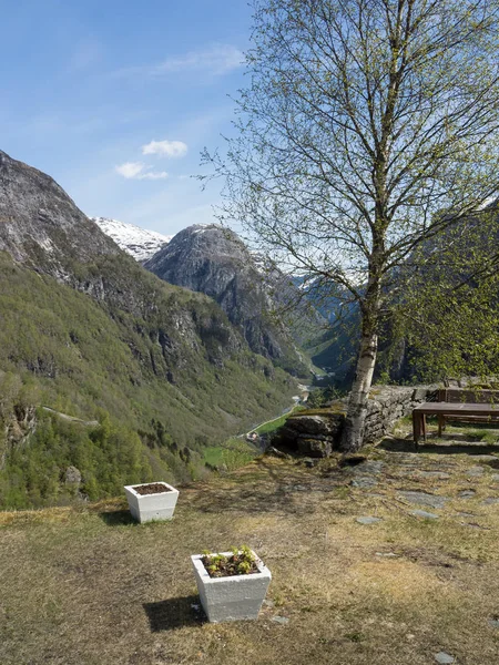 Norvège Sur Fond Paysage Naturel — Photo