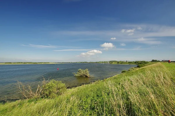 Zicht Dijk Zee Van Grevelingen Bij Brouwershaven Schouwen Duiveland Zuidelijk — Stockfoto