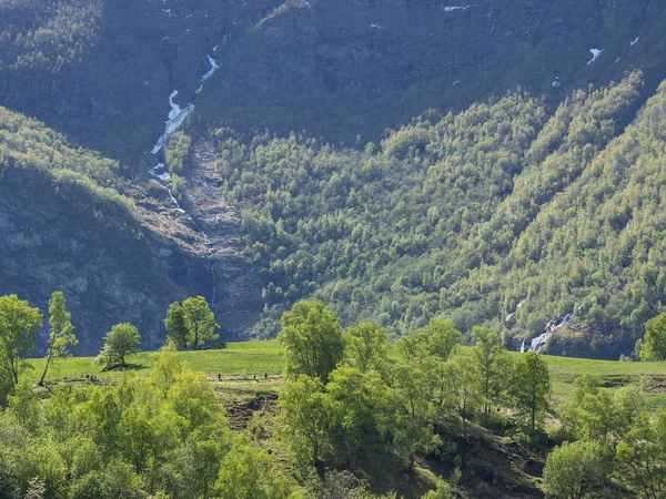 Noruega Sobre Naturaleza Paisaje Fondo —  Fotos de Stock