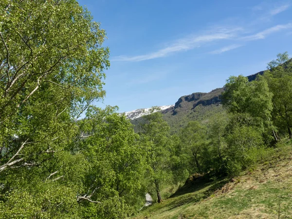 Noruega Sobre Naturaleza Paisaje Fondo —  Fotos de Stock