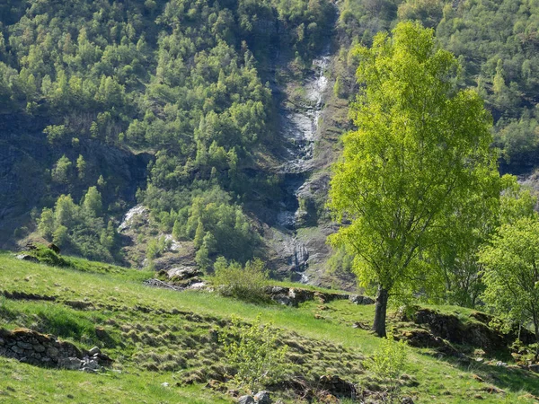 Noruega Sobre Paisagem Natural Fundo — Fotografia de Stock