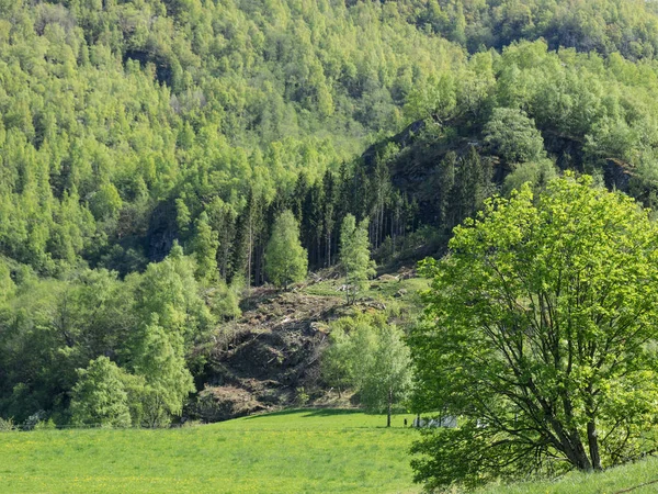 Norwegia Tle Krajobrazu — Zdjęcie stockowe