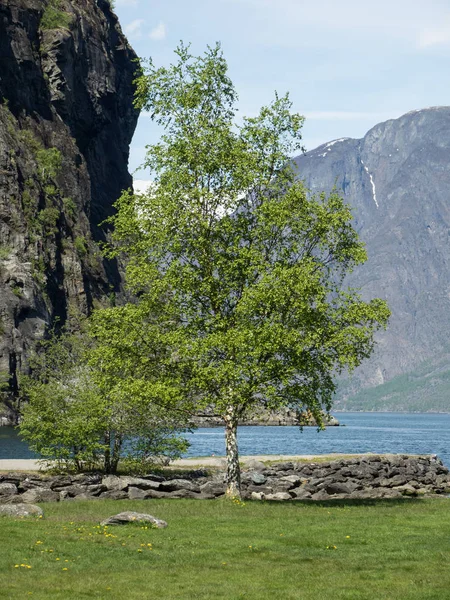 Noruega Sobre Naturaleza Paisaje Fondo —  Fotos de Stock