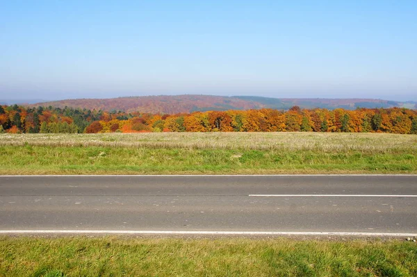 Barevný Podzimní Les Strniště Silnice — Stock fotografie