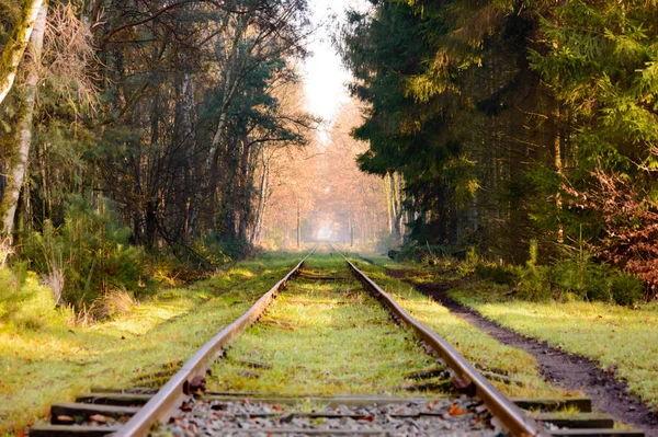 Set Old Railroad Tracks Moss Covered Wooden Ties Extending Distance — Stock Photo, Image