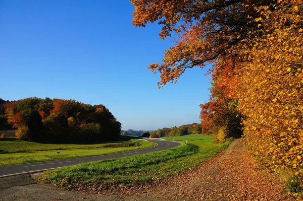 Vista Del Hermoso Prado Verde — Foto de Stock