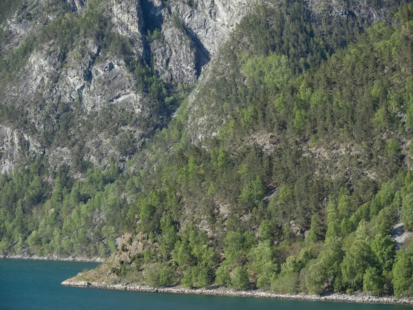 Natura Foto Ambiente Esterno — Foto Stock