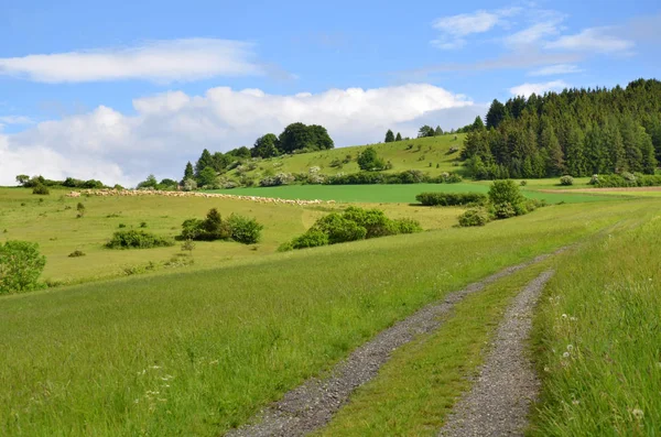 Vue Panoramique Sur Campagne Orientation Sélective — Photo