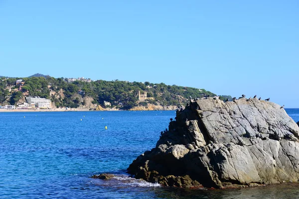 Spanje Lloret Mar Provincie Gerona Middellandse Zee Blauw Strand Rots — Stockfoto