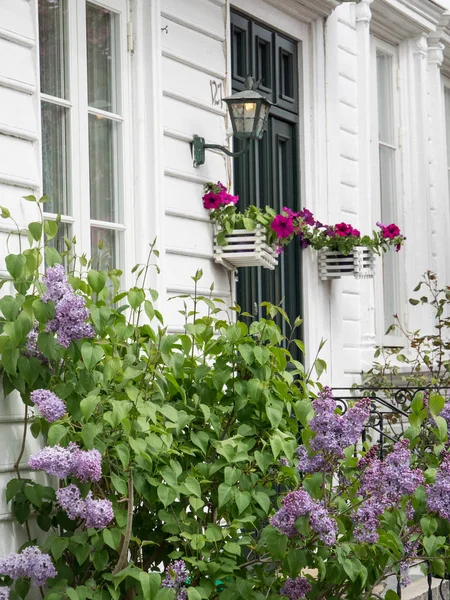 Natuur Scandinavië Noord Europa — Stockfoto